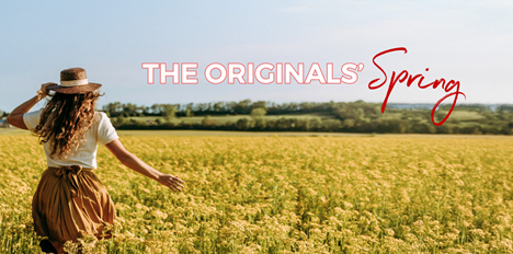 BEAUX JOURS EN ALSACE